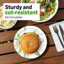 Amazon Basics Everyday Paper Plates, 8.62 Inch, Disposable, 100 Count, Packaging May Vary