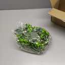 Waipfaru 2Pcs Eucalyptus Garland, 5.9FT Greenery Garland, Green Garland with Flowers, Artificial Faux Silver Dollar Eucalyptus Leaves Vines for Table Home Wedding Mantle Party Indoor Outdoor Decor