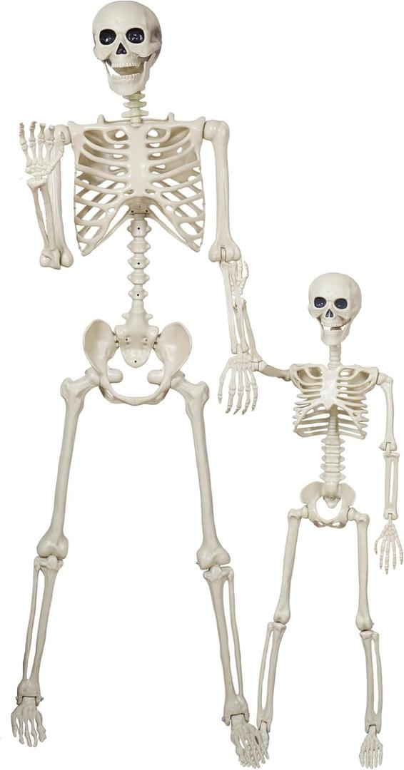 breesky Halloween Skeleton Model for Decoration: 5.4Ft Skeleton with 3Ft Skeleton with Movable Joints -Plastic Human Bones for Halloween Party, Yard Lawn Decoration