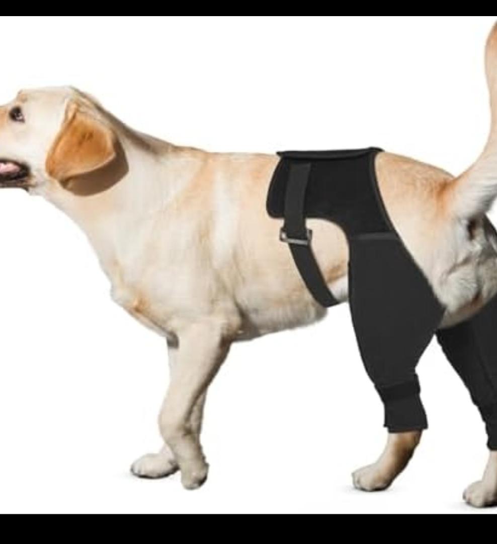 Dog Recovery Sleeve Rear Leg for Stop Licking, Recovery Dog Pants for Wound ACL TPLO After Surgery,Cone Alternative Protective Sleeve, Comfortable & Breathable, L