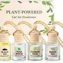 Plant-Powered Car Air Freshener 4-Pack, Essential Oil Hanging Car Diffuser for Rearview Mirror, Long Lasting Odor Eliminator, Aesthetic Auto Decor Accessories (Teakwood, Bamboo, White Tea)