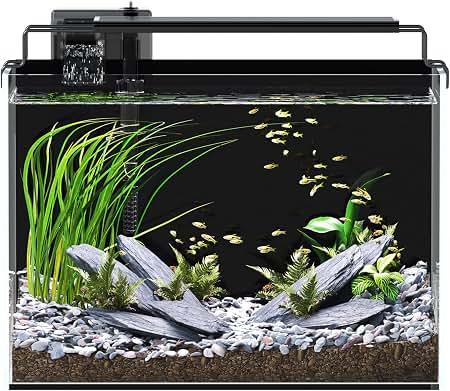 5 Gallon Fish Tank Aquarium Starter Kit with Filter Light Lid Rimless GlassBlack Background, Ultra Clear Low-iron Glass, Timer Light, 5 Brightness, Adjustable Water Flow, for Betta Shrimp Guppy Snails