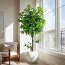 Large Ficus Artificial Trees Tall Faux Tree Indoor Outdoor Realistic decoracion Floor Fake plantas for Home Living Room Master Bedroom Office Porch Outside Patio arboles artificiales para Decor,Size: 6ft