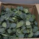 2 Pack Artificial Eucalyptus Garland Faux Silk Leaf Silver Dollar Eucalyptus Leaves Vines Handmade Garland Greenery Wedding Backdrop Indoor Outdoor Arch Wall Decoration