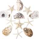 JQAQJU 3"-4" Sea Shells and Starfish 12PCS, Flat & Concave Large Oyster Shells for Crafts, Natural Beach Sea Shells for Crafting, Seashells for Crafting Home Decor Beach Party Wedding Fishtank DIY