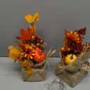 [ 2 Styles & Lighted ] 2 Pack 11 Inch Fall Maple Tree Decor, Artificial Tabletop Fall Tree with 20 LEDs Battery Powered Fall leafed Pumpkin Daisy Cones Berry Thanksgiving Fall Decorations for Home