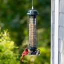 Brome Squirrel Solution 150 Squirrel-Proof Bird Feeder for Wild Birds 4 Stainless Steel Perches, 2.6 lb Seed Capacity, Chew-Proof, Free Seed Funnel Included