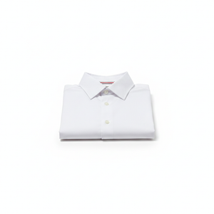 Alimens & Gentle Men's Dress Shirt Regular Fit Stretch Stain Shield Long Sleeve Solid Business Wedding Button Down Shirts (Large, White)