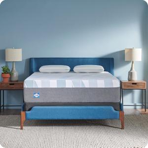 Sealy Dreamlife 14 Hybrid Mattress-in-a-Box, Queen, SealyComfort Gel Memory Foam, SealyResponsive Encased Coils, Machine Washable Cover
