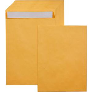 Amazon Basics Catalog Mailing Envelopes, Peel and Seal, 9" x 12", Brown Kraft, 100-Pack