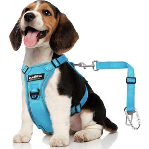 Dog Seat Belt Harness for Car, Dog Car Harness Adjustable Mesh Breathable & Dogs Seatbelt Safety Tether with Elastic Bungee for Small Medium Large Pets(Blue, M) (M (Chest: 19.7-26.4", Neck: 12.6-20.5"))