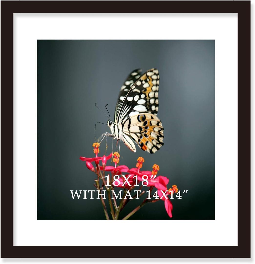 18x18 Frame Black With Mat 14x14 Solid Wood Picture Frames Wall Mounting (1 pack, 18x18 Inch)