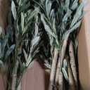 5FT Olive Trees Artificial Indoor, Faux Olive Tree with White Planter | Colored olives,Realistic Natural Wood Trunk, Lifelike Leaves, Fake Olive Tree for Home Office Living Room Decor Gift