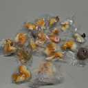 Miniature Squirrel Figurine, 21Pcs Mini Resin Squirrel Figures,Tiny Fall Forest Animals Figurines Fairy Garden Accessories for Outdoor Landscape Garden Lawn Pot DIY Cake Decorations