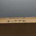 52 Inch Ceiling Fan No Light Wood Outdoor Ceiling Fans for Patios Living Room Bedroom 3 Blade Propeller Modern Ceiling Fan Without Light with remote Control(Walnut) (Deep Walnut Blades + Black Body)