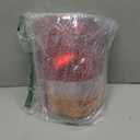 Boine Right Passenger Side Tail Light Compatible With 1993 1994 1995 1996 1997 Ford Ranger Rear Light Brake Lamps (Right Passenger Side)