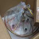 Gold Chandelier, Modern Drum Chandeliers 4-Light Fixtures Hanging with with Antique Gold Finish for Dining Room, Living Room, Bedroom, Foyer and Kitchen