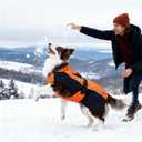 Dog Coat Dogs Jacket Waterproof Reflective Adjustable Dog-Winter Coats for Small Dogs Dachshund Coat-(Orange, Small)