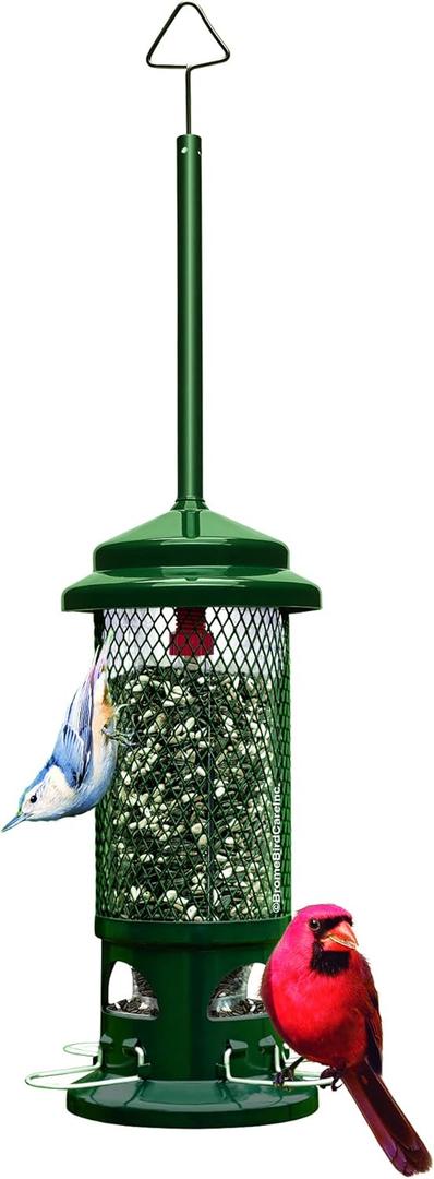 Squirrel Buster Standard Squirrel-proof Bird Feeder w/4 Metal Perches, 1.3-pound Seed Capacity, Garden Green