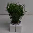 Hollyone Large Artificial Potted Plants Fake Palm Plants 16" Faux Green Plant Plastic Tropical Palm Tree in Blue and White Porcelain Ceramic Pots for Home Room Office House Indoor Decoration