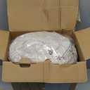 Bedsure California King Comforter Set, Beige Soft Prewashed Bedding for All Seasons, 3 Pieces GentleSoft Bed Set, 1 Lightweight Comforter (104"x96") and 2 Pillowcases (20"x36")