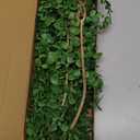 Mythlty 3 Eucalyptus Stems Artificial Hanging Plant, Fake Plastic Hanging Greenery Stems with Roots for Home Farmhouse Wall, Ceiling, Bathroom, Mantle, Outdoors Porch Decorations (3, Eucalyptus)