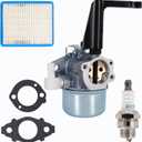 696065 697422 Carburetor Compatible with B & S 110402 110412 215369 5HP 5.5HP 6HP 6.5HP 7HP Tiller Engine Carb with Mounting Gaskets Kit and 491588S Flat Air Filter Cartridge