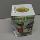 Dinosaur Toys - Create A Dino World with Flexible Race Track, Birthday Gift for Kids Ages 3+, Toys for 3 4 5 Year Old Boys