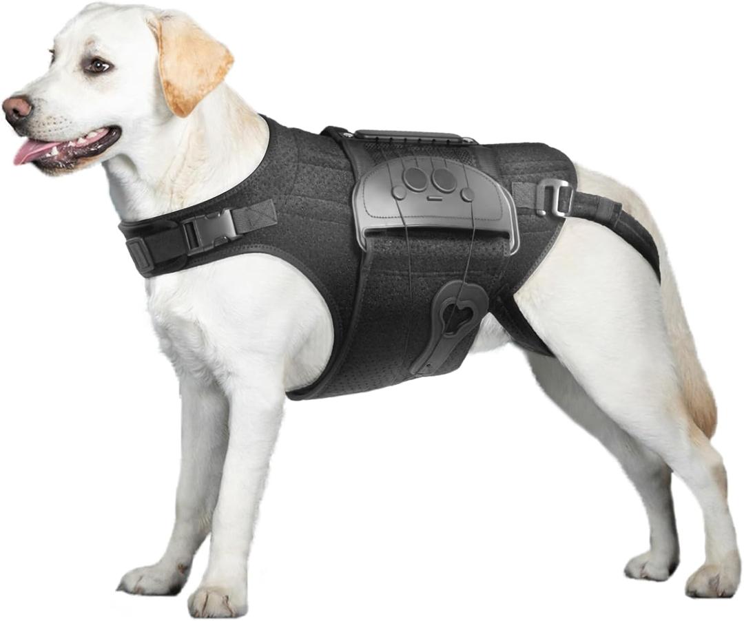Dog Back Brace for IVDD, Arthritis, Slipped and Herniated Discs  Provides Back Support and Pain Relief, Stabilizes Spine for Surgical Recovery and Mobility, Dogs Back Disease Prevention(Black,L)