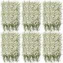 300 Pcs Dried Babys Breath Flowers Bulk Ivory White Babys Breath Real Pressed Flowers Natural Gypsophila for Resin Wedding Art Craft DIY Invitations Scrapbooking Card Making