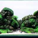 LANDEN Black Icelandic Lava Stone Natural Rocks (18lbs, 3~11 inches,11pcs) for Aquariums, Paludariums, Terrariums, Caves and Rocky Peaks, Mountainous Desert Landscapes
