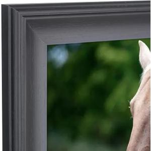 15x24 inch Picture Frame Solid Wood 15x24 Photo Frame 15x24 Poster Frame (A23B1524)