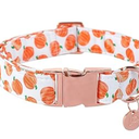 UP URARA PUP Halloween Dog Collar with Metal Buckle Gift Fall Dog Collar for Small Medium Large Girls or Boys Dogs Cute Pumpkin Cotton Pet Collars