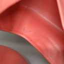 Tannus Armour Tire Insert  Puncture-Proof Bike Tube Protector for Gravel, Fat, and E-Bikes  No Flat Liner Stops Thorns, Goatheads & More (24" x 3.0-4.0")