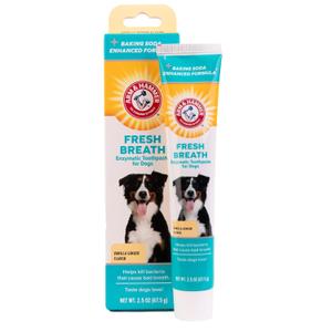 Arm & Hammer for Pets Clinical Care Dental Enzymatic Toothpaste for Dogs Soothes Inflamed Gums Safe for Puppies 1 Pack Fresh Breath Vanilla Ginger (Pack of 6) (2.5 Ounce (Pack of 1))