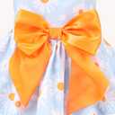 PUPTECK Floral Dog Dress for Spring Outfit Puppy Cute Small Dogs Clothes,Daisy,S