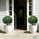 26-Inch Artificial Topiary Boxwood Ball Trees (Set of Two) Lifelike, UV-Resistant Decor for Indoor & Outdoor Use Enhance Your Space with Vibrant Greenery