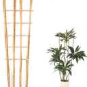 Bamboo Trellis,4Ft,3Pack,Climbing PlantsTrellis, Fan-Shaped Trellis,for Outdoor and Indoor Potted Climbing Plants,Vegetables, Cucumber, Tomato, Hoya