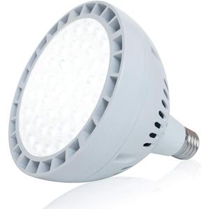 LED Pool Light Bulb for Inground Pool - White and Blue 120V 65W Pool Bulb Replacement for 500W Pentair Hayward Pool Light Fixture