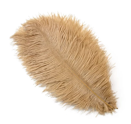 Fluffy Big Ostrich Feathers Natural Ostrich Feather Plumes 15-35CM for Wedding Table Centerpieces Carnaval Party Decoration, 6pcs Ostrich Feathers 10"