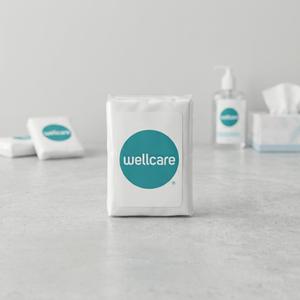 Wellcare Mini Tissues 10x3- Ply Tissues