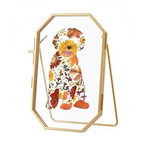 FOCHIER F Pressed Flower Frames with Tweezers, Hinged Double Brass Photo Frame, Folding Display for Dried Flowers, Tabletop Décor, Horizontal and Vertical Picture Frame, Octagon, Gold