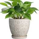MPotTo 6.9 Inch Plant Pot with Drainage Hole and Saucer Ceramic Planter for Indoor Plant Flower Pot for Orchid Succulents Plants White