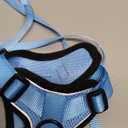 rabbitgoo Cat Harness and Leash for Walking, Escape Proof Soft Adjustable Vest Harnesses for Cats, Easy Control Breathable Reflective Strips Jacket, Light Blue,M