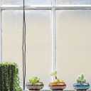 Cute Ceramic Succulent Garden Pots, Planter with Drainage and Attached Saucer, Set of 5 -Plants Not Included (Burner)