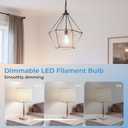 Stepless Dimmable A19 E26 LED Edison Bulbs, 60 Watt Equivalent 5000K