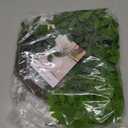 Melorca & Guilla Artificial Plants, 2PCS 43.3" Green Nandina Faux Branches for Vase, Artificial Plants for Shop Garden Office Home Decor