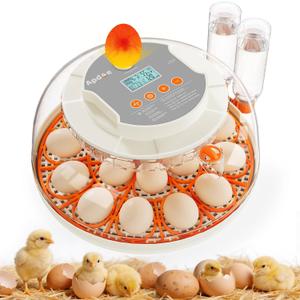 APDOE Egg Incubators for Hatching Eggs, Temperature and Humidity Control, Automatic Egg Turning, Egg Candler, External Water Bottle, Air Vent, for Chicken, Duck & Quail Eggs, 18 Eggs