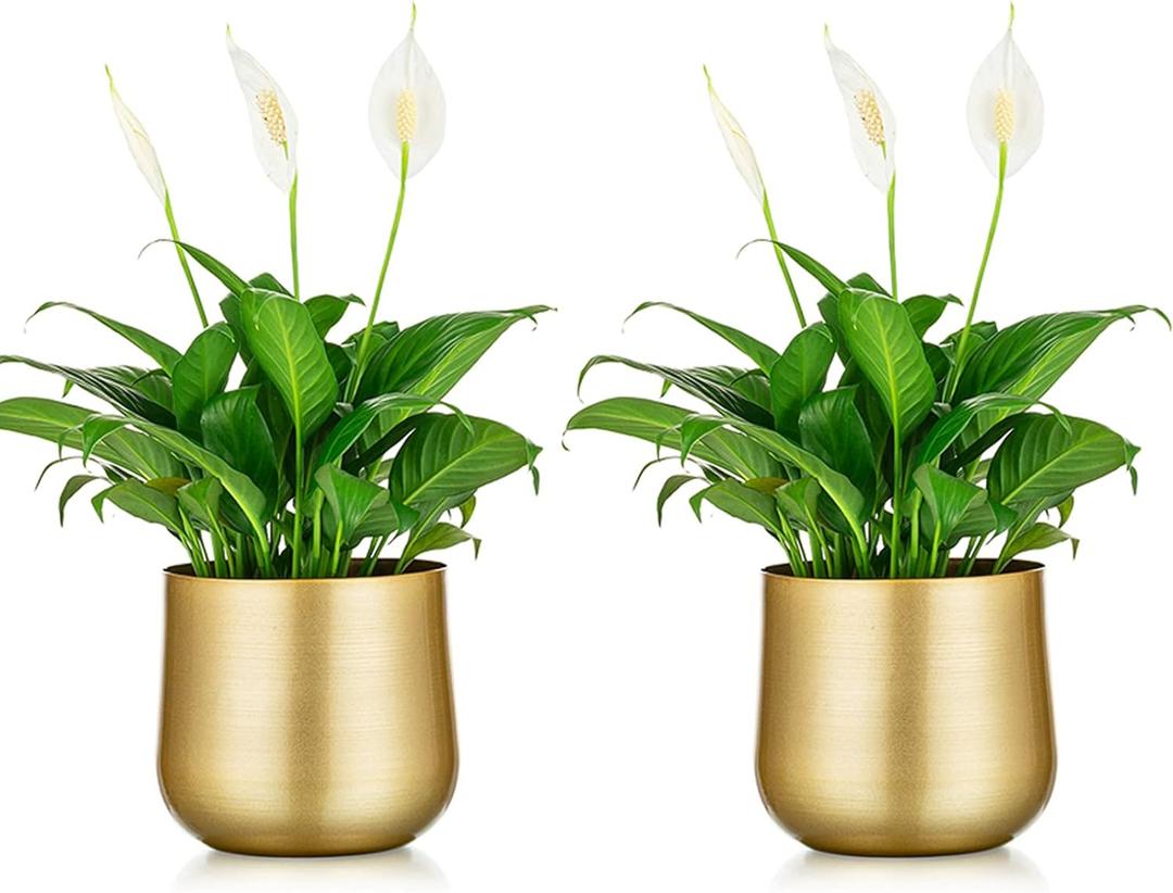 Nuptio 2 Pcs Plant Pot Gold Vase Metal Flower Pot Vase with Drainage Hole, Modern Storage Organizer Decorative Gifts for Wedding Indoor Outdoor Living Room Balcony Decoration Floor Display (5.7in Tall-2pcs, Style 1#)