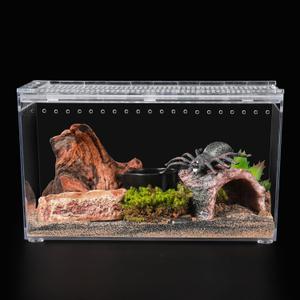 Reptile PC Terrarium 10.2" x 5.9" x 5.7" Full View Small Reptile Tank for Tarantula Insect Hermit Crab Spider Habitat Amphibians Enclosure